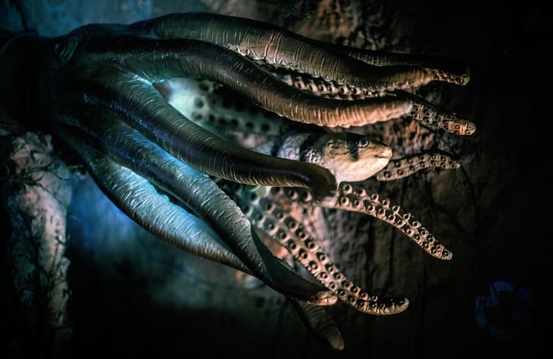 Kraken